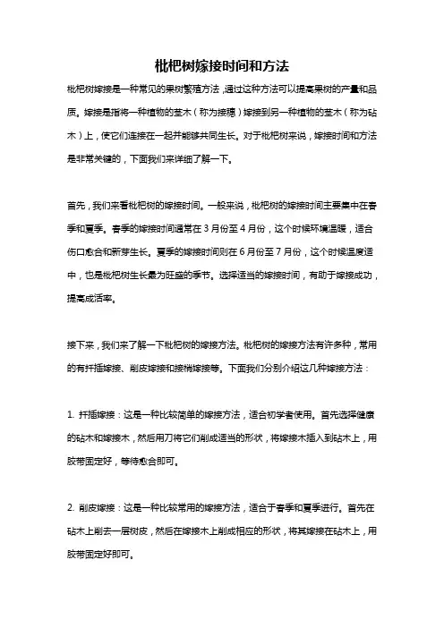 枇杷树嫁接时间和方法