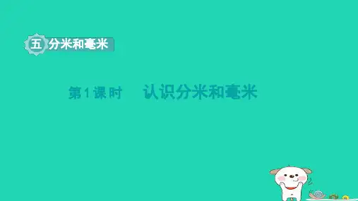 2024二年级数学下册五分米和毫米第1课时认识分米和毫米课件苏教版
