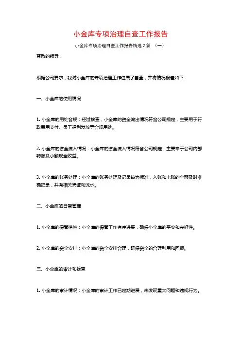 小金库专项治理自查工作报告2篇