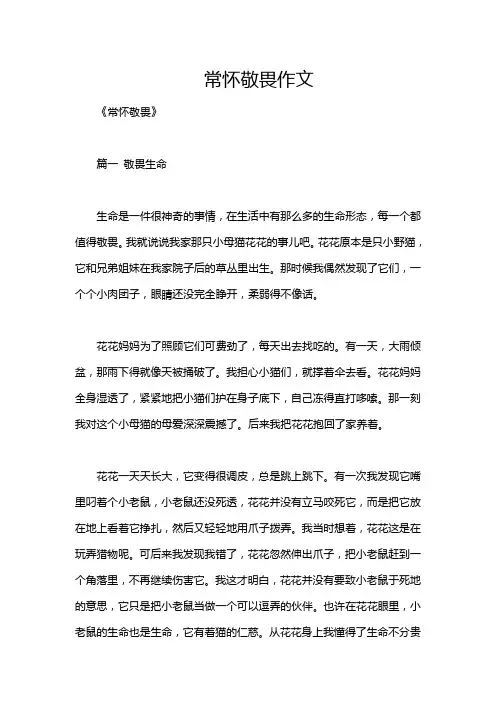 常怀敬畏作文