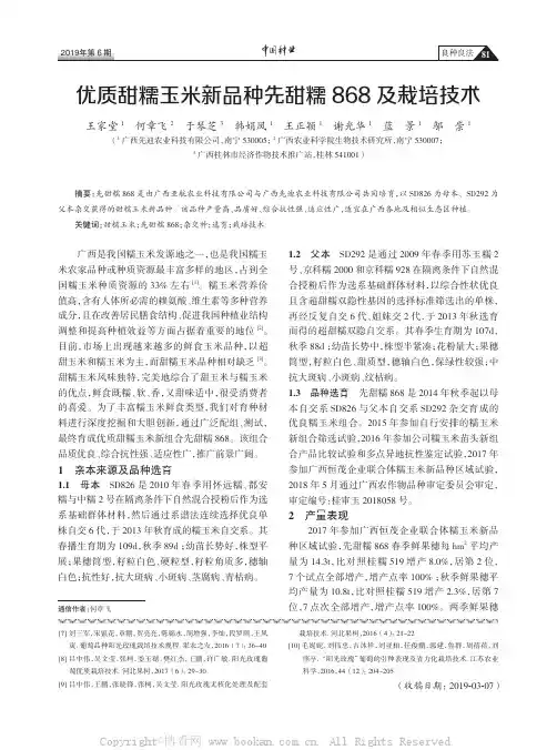 优质甜糯玉米新品种先甜糯868及栽培技术
