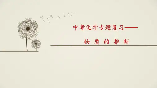2017年中考化学专题复习：物质的推断 (共11张PPT)