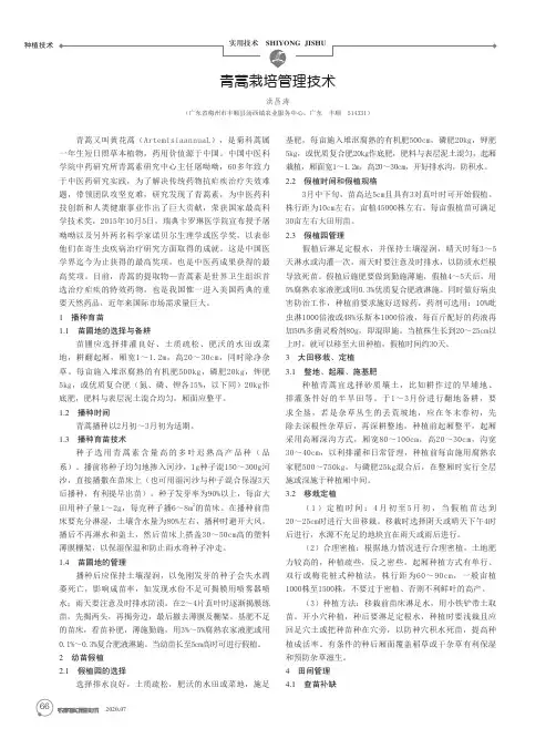 青蒿栽培管理技术