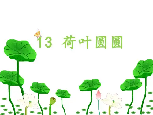 一年级下册13《荷叶圆圆》部编版实用PPT