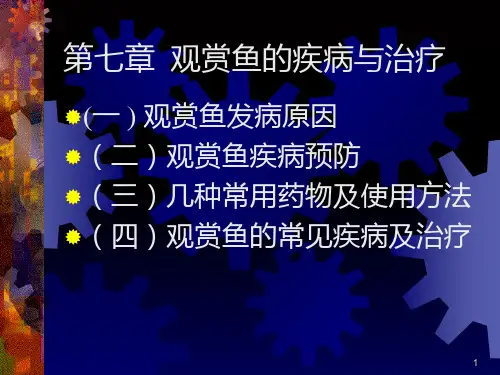 第七章观赏鱼的疾病与治疗PPT课件