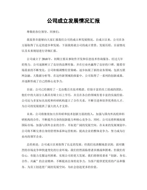 公司成立发展情况汇报