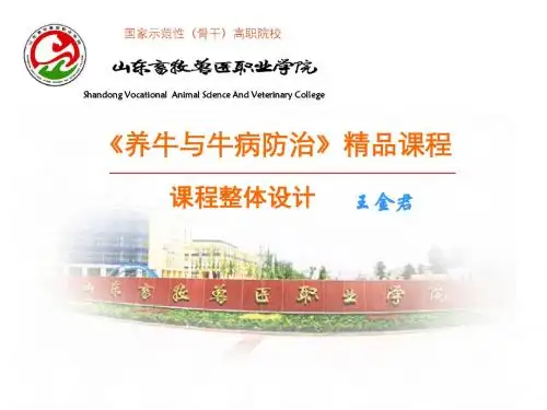 养牛与牛病防治课程设计