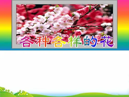 【教科版】科学《各种各样的花》PPT-优质课件1