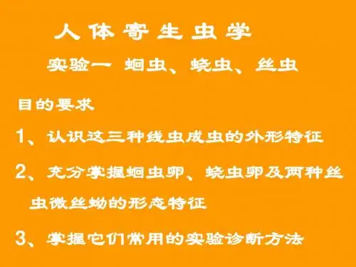 人体寄生虫实验 - 实验一 蛔虫蛲虫、丝虫