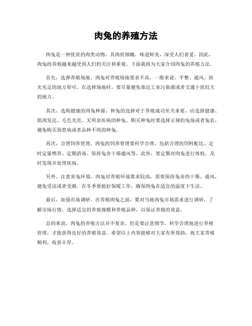 肉兔的养殖方法