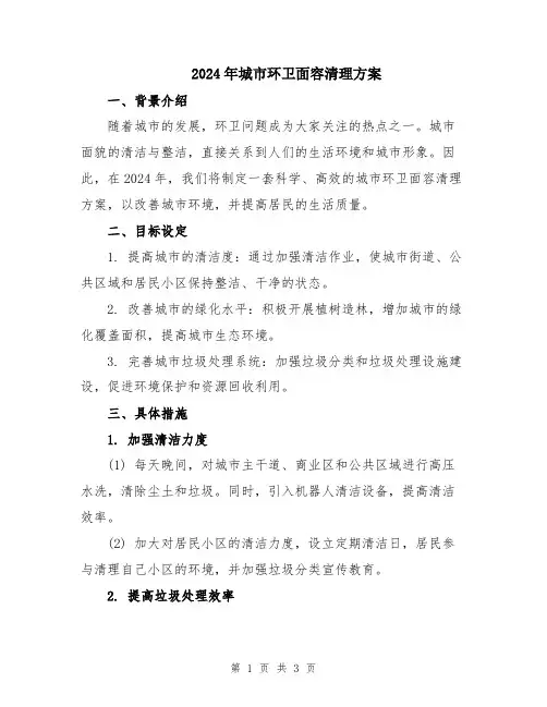 2024年城市环卫面容清理方案