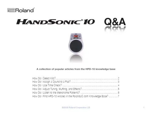 Roland HPD-10 手动说明书
