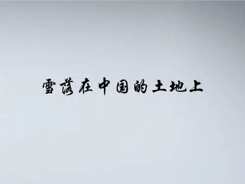 高中语文 雪落在中国的土地上课件 粤教版必修2