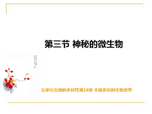 苏教版初中生物八年级上册  神奇的微生物 课件
