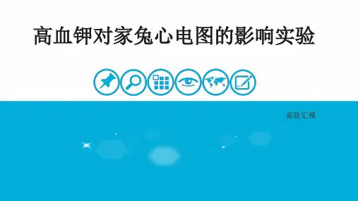高血钾对家兔心电图的影响实验