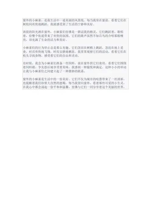 窗外的小麻雀