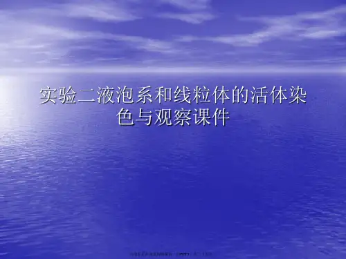 实验二液泡系和线粒体的活体染色与观察PPT讲稿