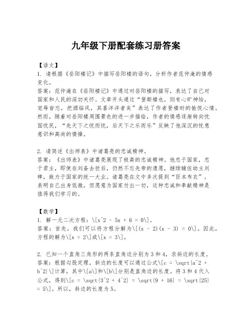 九年级下册配套练习册答案