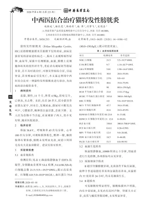 中西医结合治疗猫特发性膀胱炎