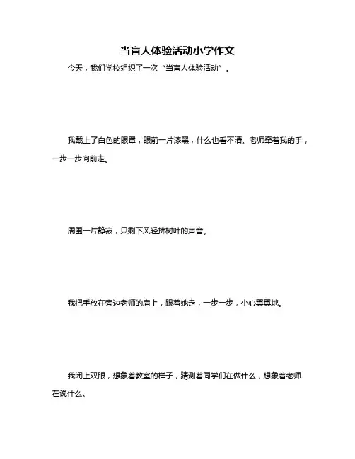 当盲人体验活动小学作文