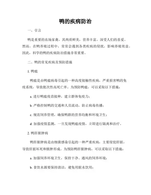 鸭的疾病防治