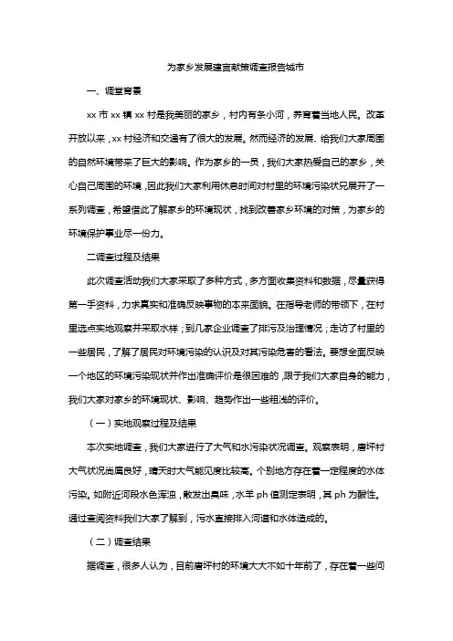 为家乡发展建言献策调查报告城市
