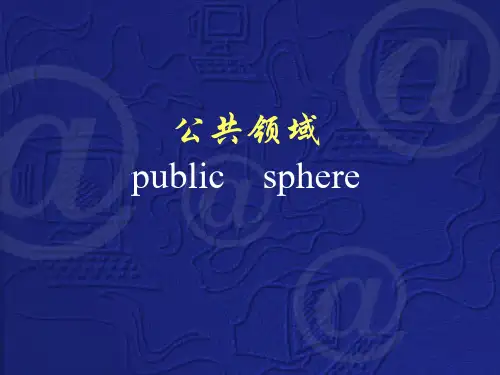 网络公共领域的建设