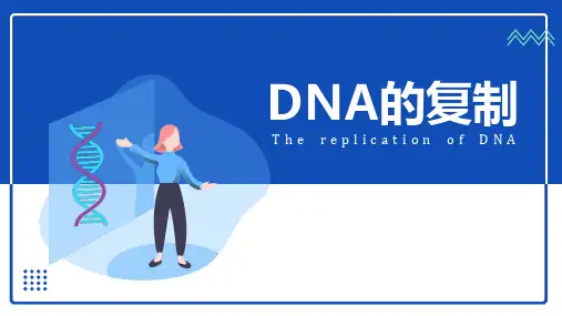 DNA的复制课件-高一生物人教版必修2