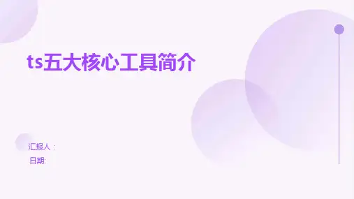 ts五大核心工具简介