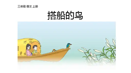 《搭船的鸟》ppt课件