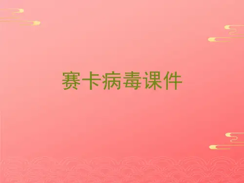 赛卡病毒课件2021文档PPT