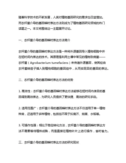 一种适用于多种植物的农杆菌介导基因瞬时表达的方法
