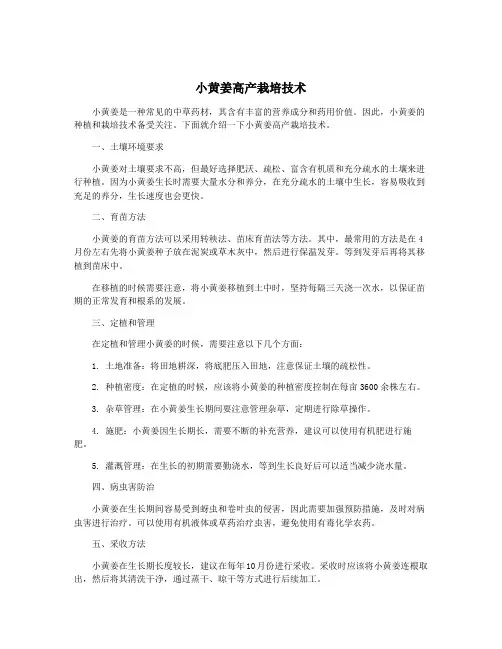 小黄姜高产栽培技术