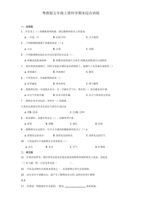 粤教版五年级上册科学期末综合训练