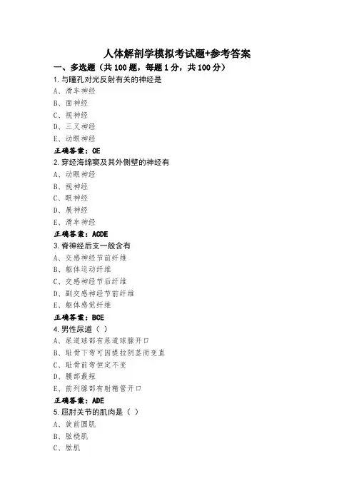 人体解剖学模拟考试题+参考答案