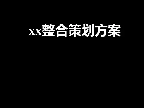2021年某药品整合策划方案PPT课件