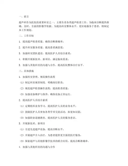 新科室工作规划超声