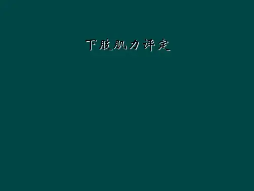 下肢肌力评定