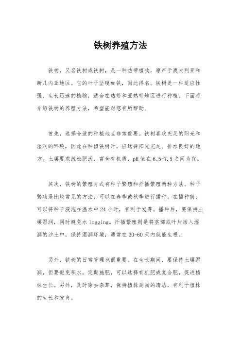 铁树养殖方法