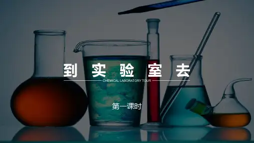 鲁教版九年级化学第一章第三节到实验室去第1课时(共34张PPT)