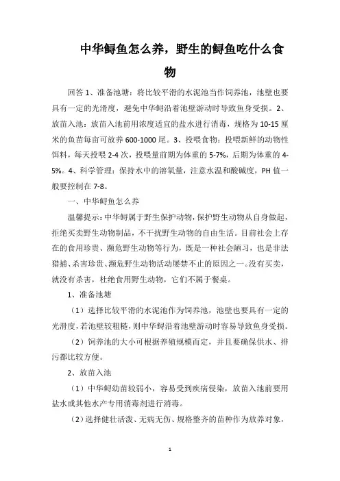 中华鲟鱼怎么养,野生的鲟鱼吃什么食物