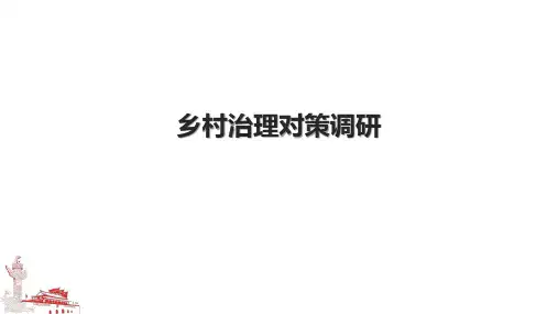 乡村治理对策调研.pptx