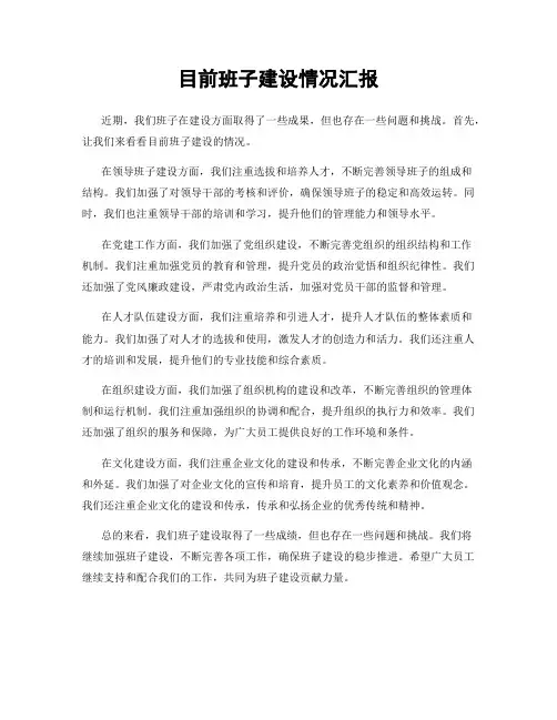 目前班子建设情况汇报