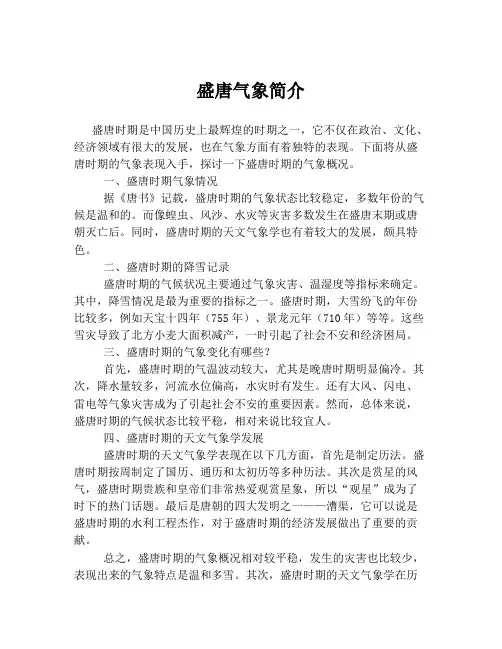盛唐气象简介
