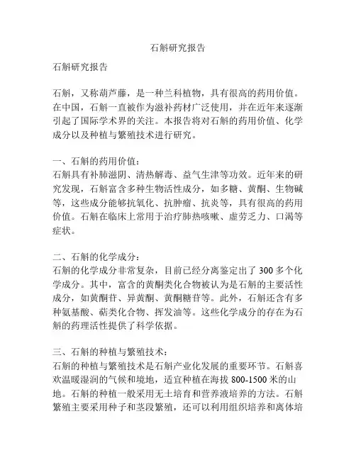 石斛研究报告