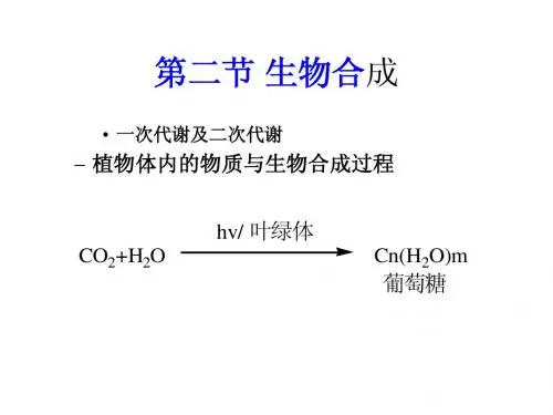 生物合成