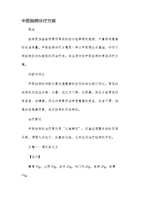 中医脑病诊疗方案