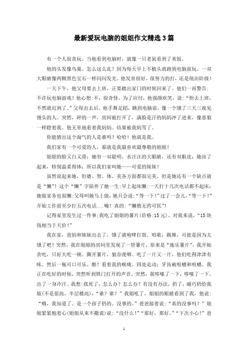 最新爱玩电脑的姐姐作文精选3篇