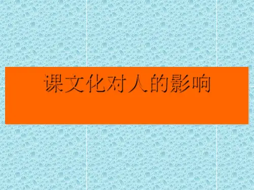文化对人的影响PPT课件10