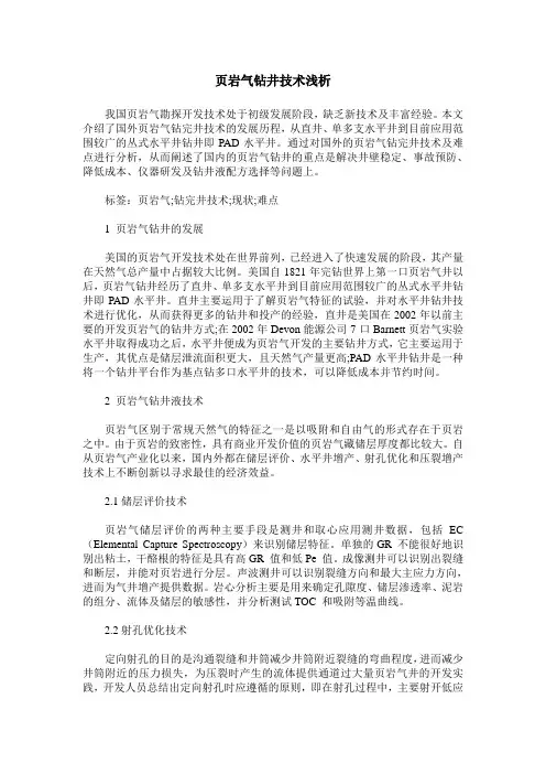 页岩气钻井技术浅析
